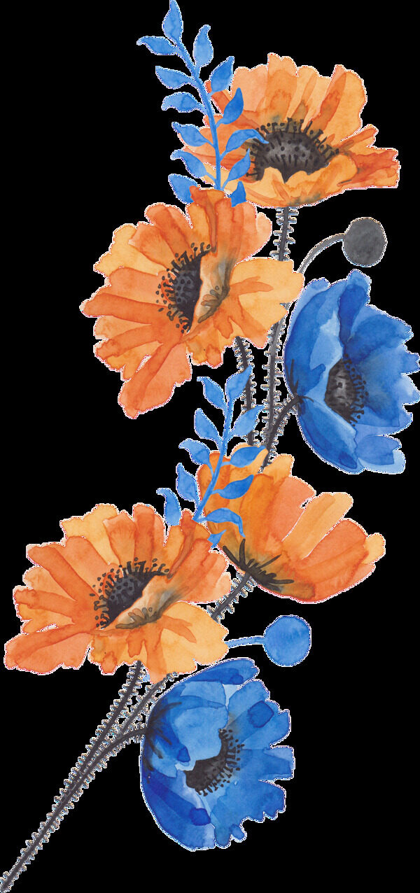 橙蓝花叶卡通透明装饰素材