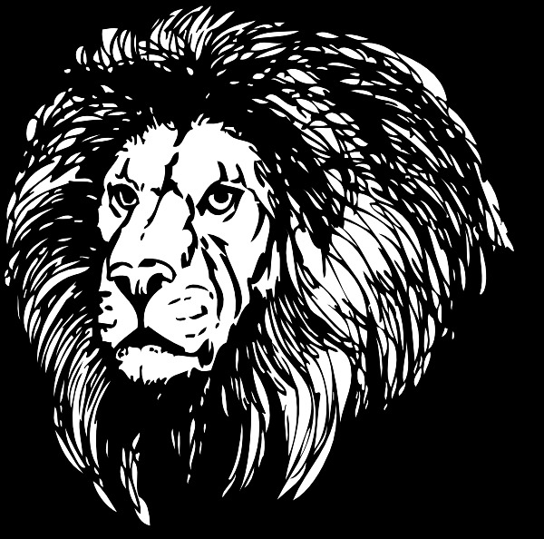 狮子的剪辑艺术8