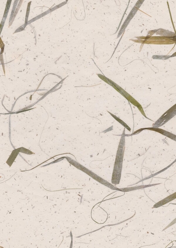 竹叶杂质纸张纹理底纹