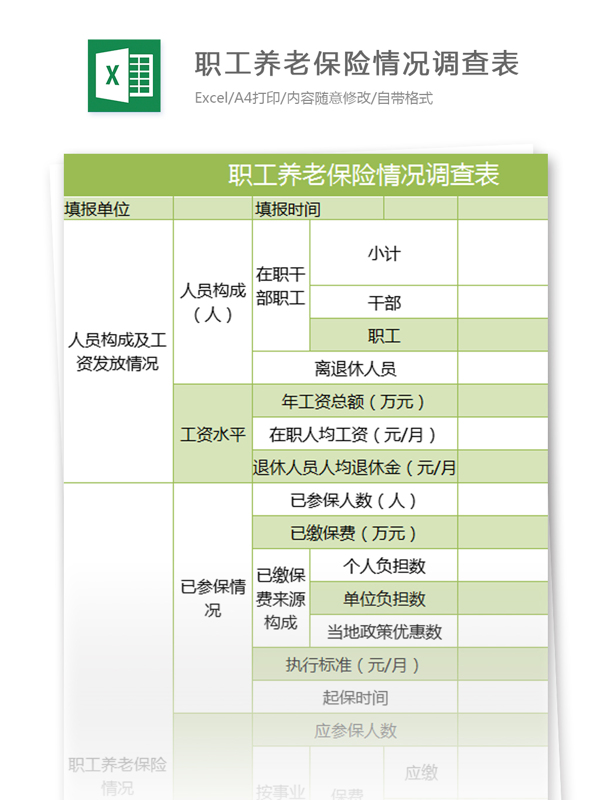 职工养老保险情况调查表excel模板