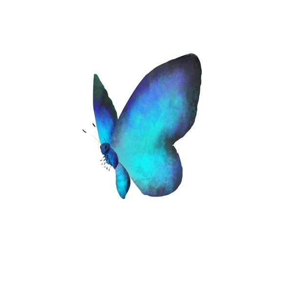 水彩蝴蝶唯美蓝色蝴蝶
