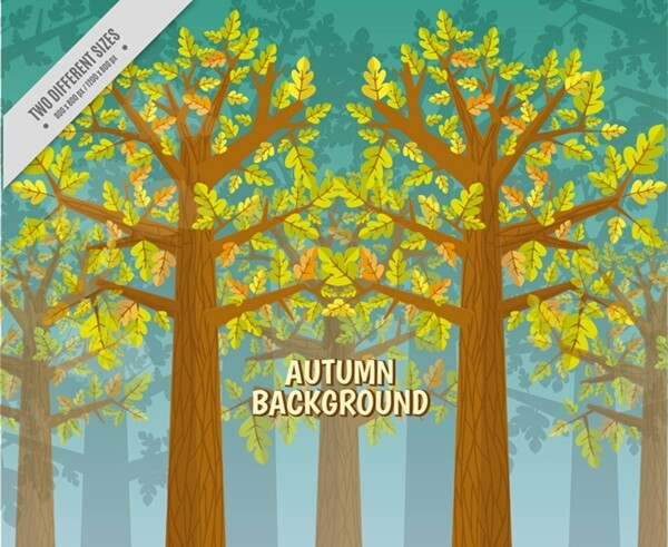 秋季树林风景图片
