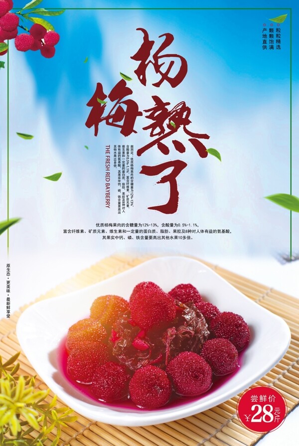 清新可口水果杨梅宣传海报