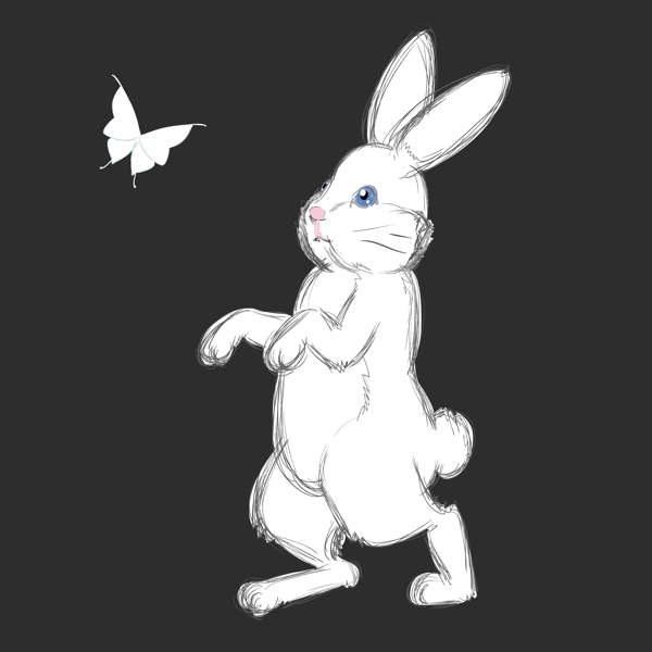 手绘线描兔子蝴蝶矢量图下载