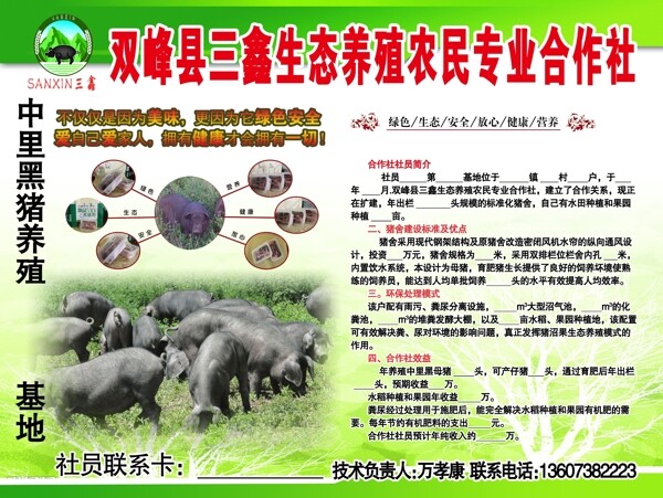 猪生态养殖农民专业合作社图片