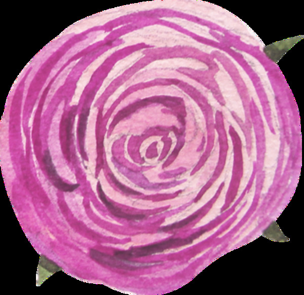 紫色大花透明装饰图案