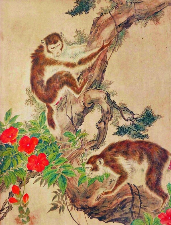 古树双猴图图片