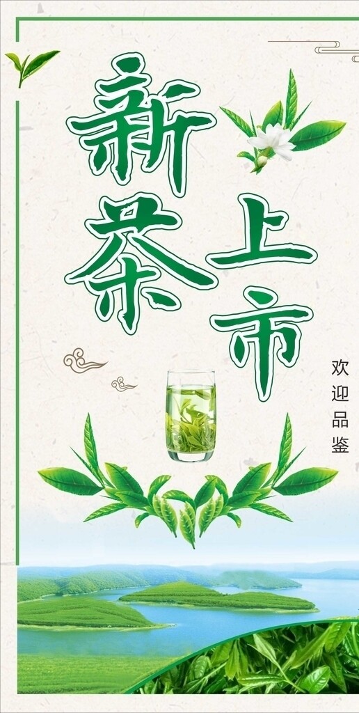 新茶上市