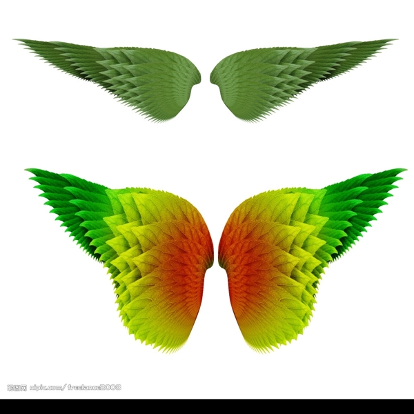 树叶翅膀图片