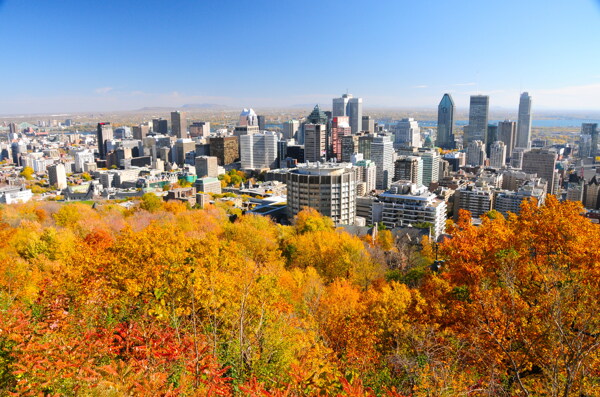 秋天城市风景图片