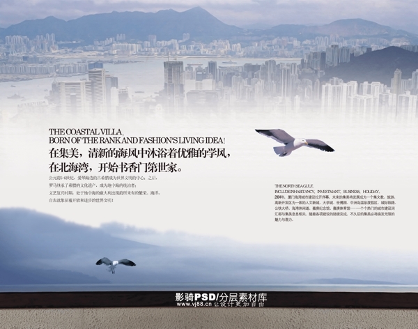 中国风PSD素材海鸥