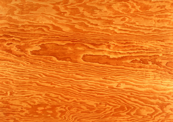 橙色密集线条木纹