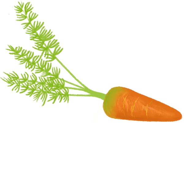胡萝卜蔬菜装饰图案