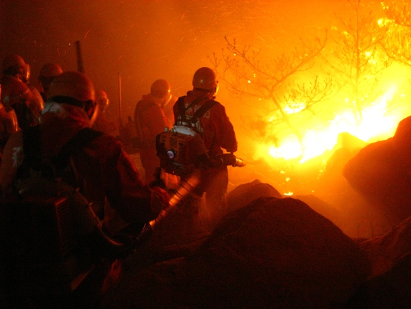 森林消防员救火现场图片