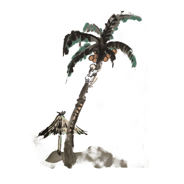 椰子树椰子手绘插画