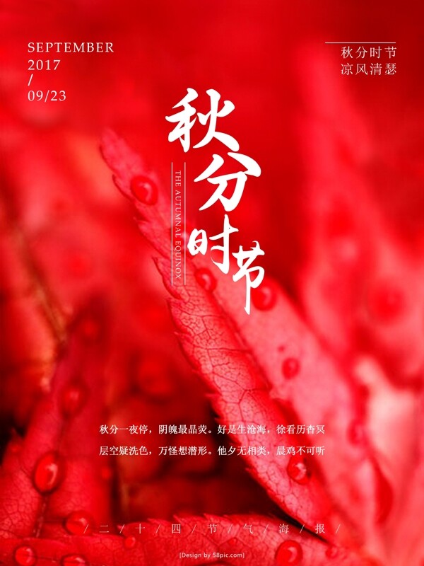 中国传统二十四节气秋分微信配图海报