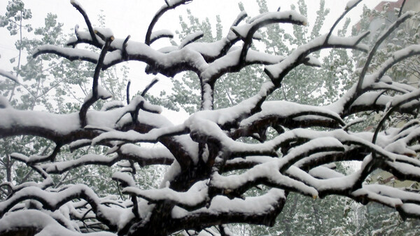 雪景图片