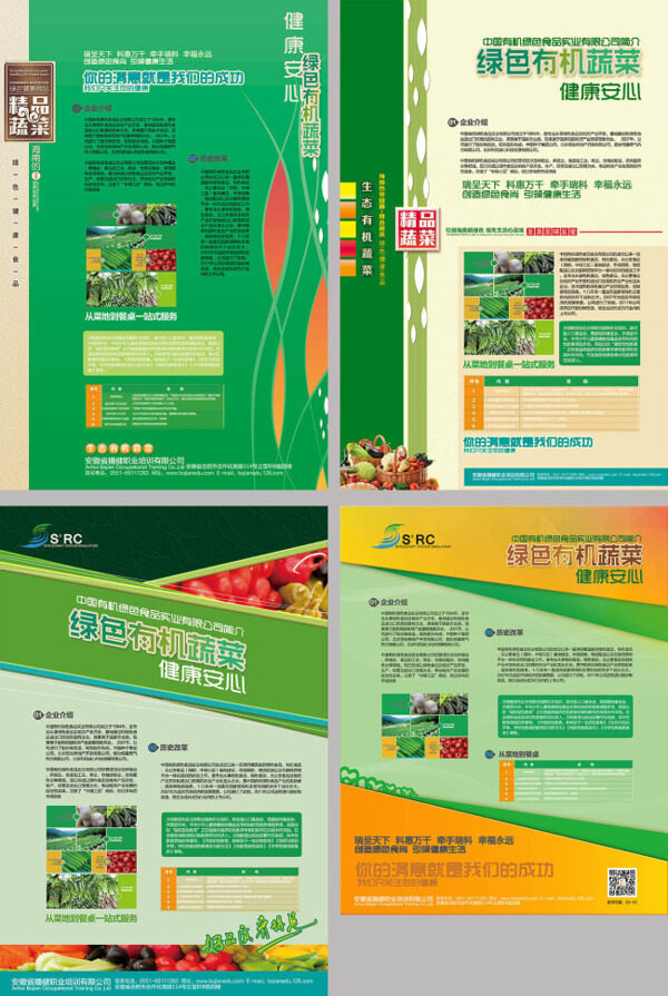 有机蔬菜产品画册宣传册