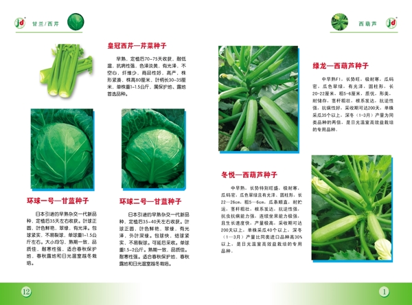 蔬菜画册图片