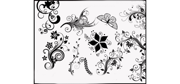 超美的花纹和花朵蝴蝶笔刷