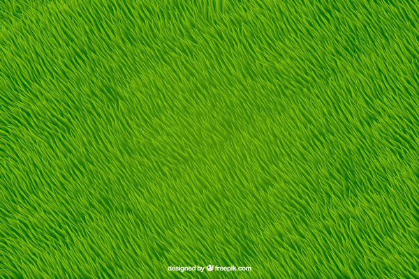 现实草的绿色背景