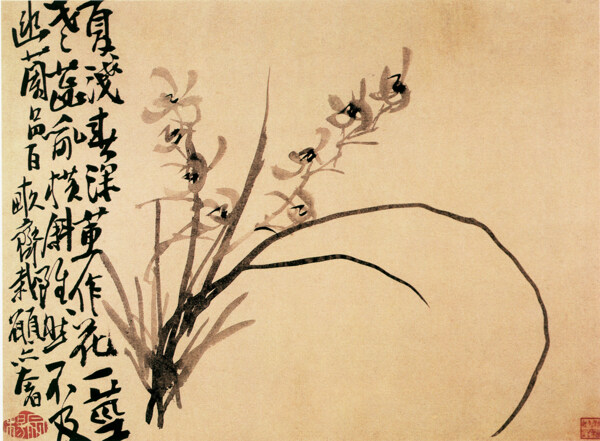 书画植物背景图片
