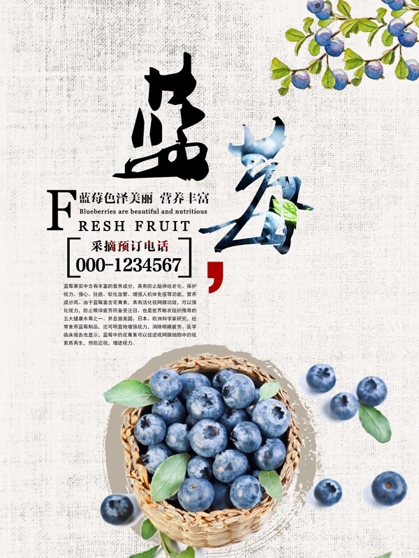 新鲜蓝莓水果海报