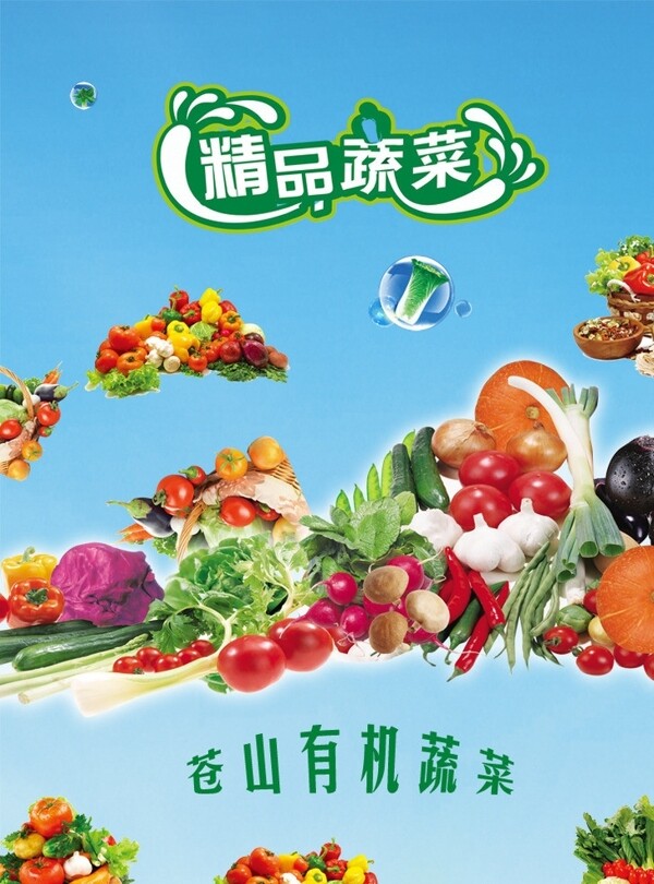 精品蔬菜海报图片