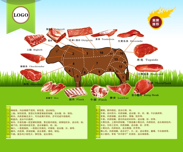牛肉分解图图片