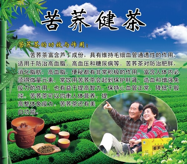 苦荞健茶图片