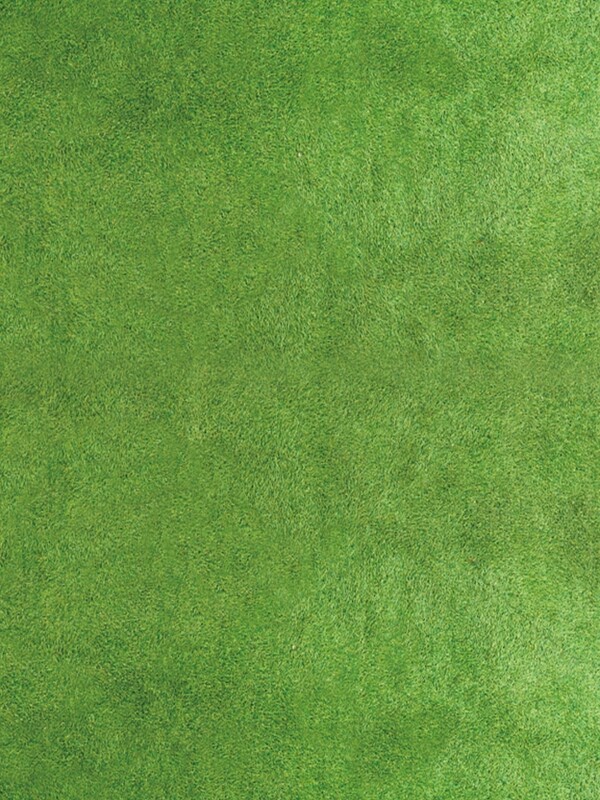 世界杯竞赛绿草地背景