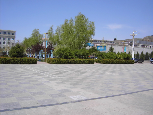 春季广场景色图片