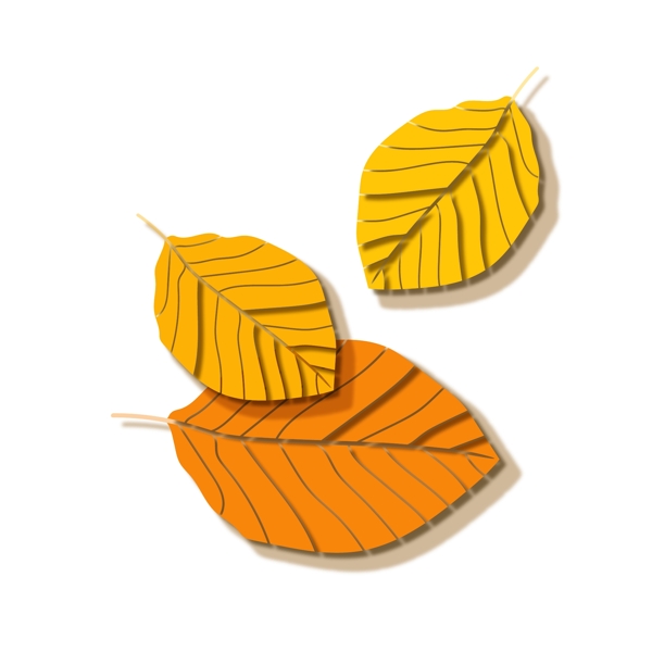 微立体秋季秋分立秋树叶矢量元素