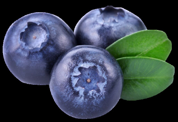 小清新蓝莓水果元素
