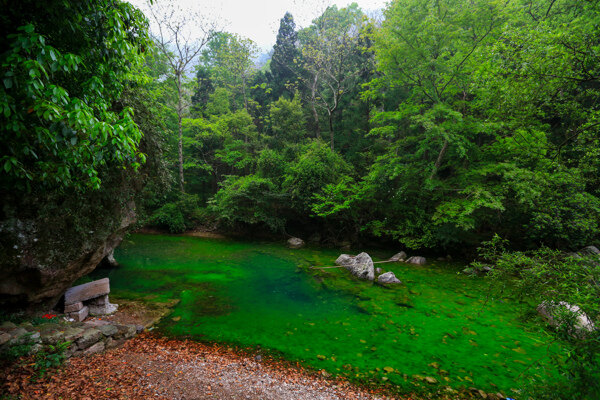 雁荡山图片