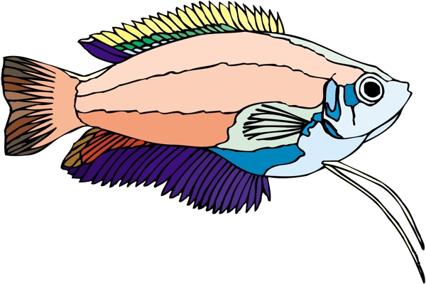 五彩小鱼水生动物矢量素材EPS格式0186