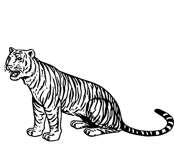 老虎绘画图案