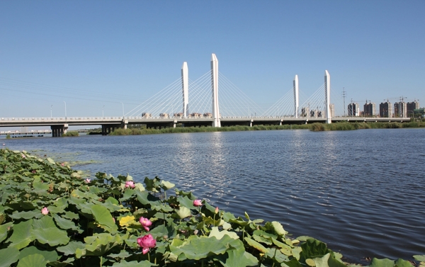 安丘汶河大桥