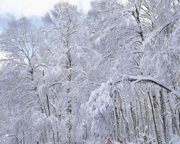 冬天雪景