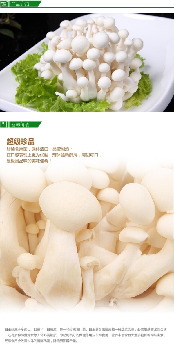 白玉菇农产品详情页