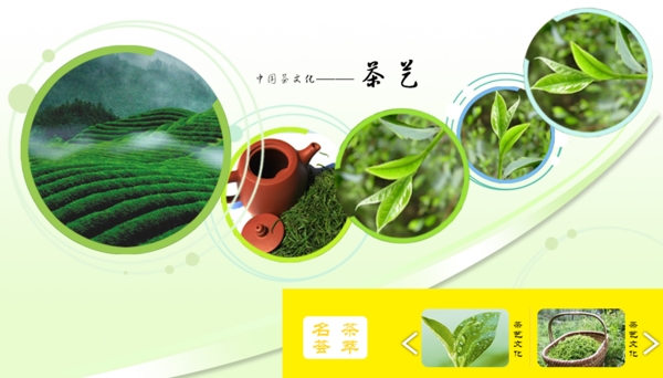 绿色茶叶网站banner