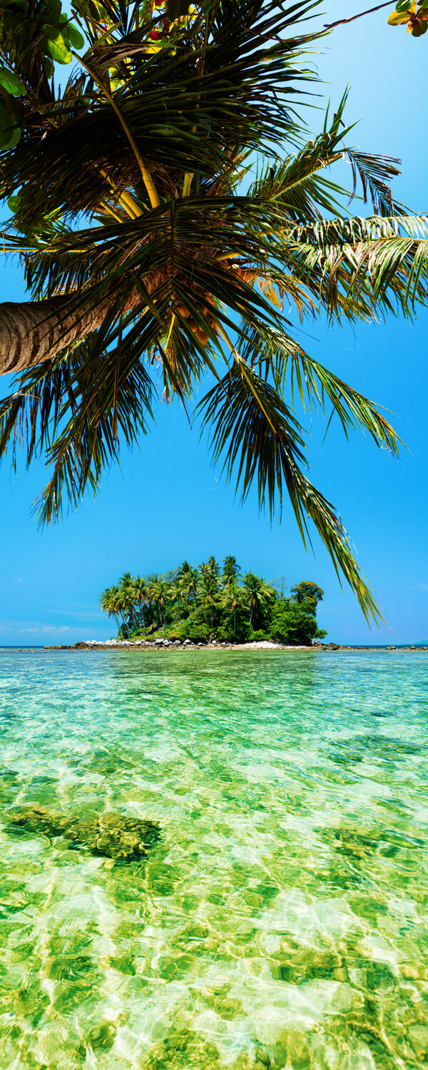 椰树与小岛风景图片
