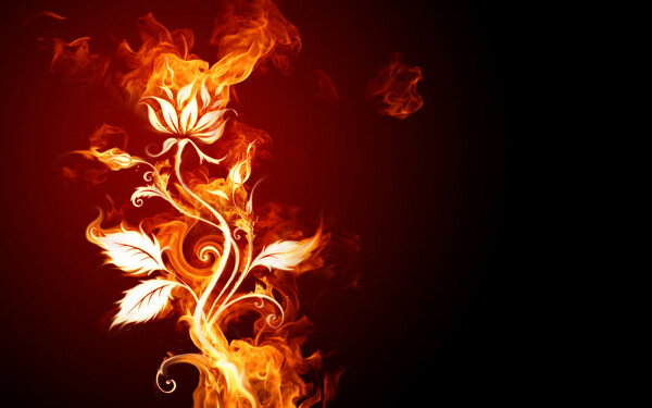 燃烧的火焰造型植物