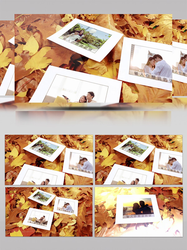 铺满了金黄落叶的秋色记忆AE相册模板