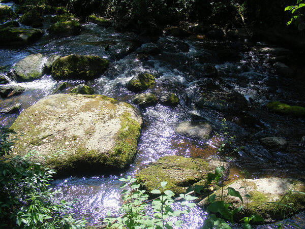 山泉河流石摄影