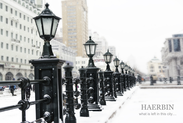 哈尔滨冬景图片