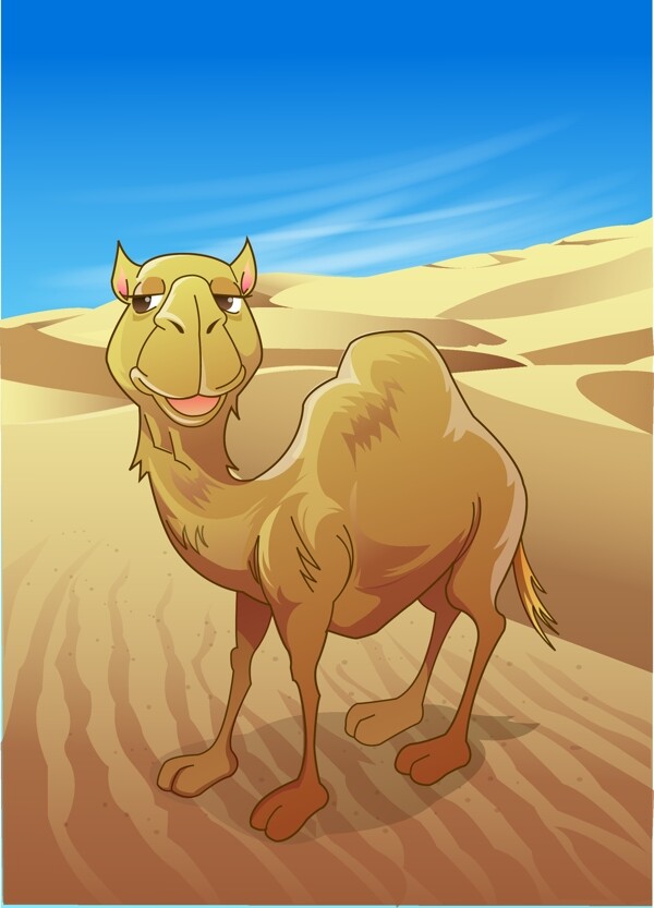 骆驼14向量