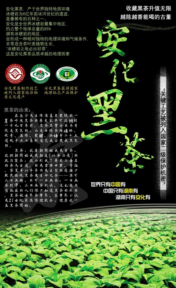 清新中国风黑茶包装设计海报黑色背景