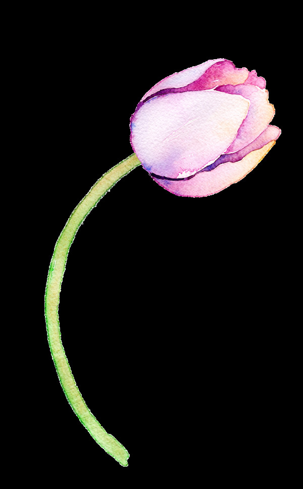 优雅紫色花卉透明装饰素材