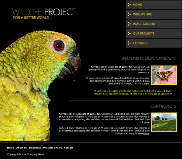 野生动物保护机构网页模板